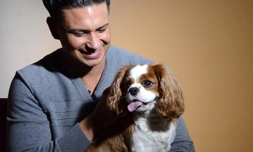 Talking Heads: <i>Jersey Shore</I>‘s Pauly D on sustaining credibility and ‘Toca’s Miracle’
