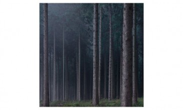 Hear a track from Juan Atkins & Moritz von Oswald’s eagerly anticipated <em>Borderland</em> LP