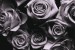 <I>With Love</i>