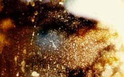 Chairman Kato: Wildfire EP