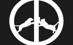 Hype Williams: ‘Rise Up’