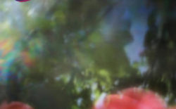 Echo Lake: Young Silence EP