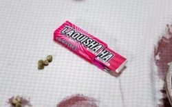 French Fries: ‘Merel’