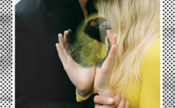 Isolee: Well Spent Youth