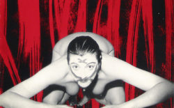 Technø Primitiv: the art of Chris & Cosey