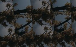 Circle Traps, Subeena, Damu and more helm the Gramophone