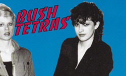 Bush Tetras’ ‘Too Many Creeps’: new 7″ edition from ROIR