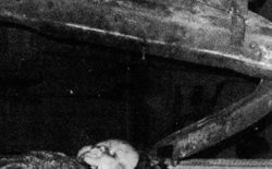 Forced Nostalgia label launches to “explore dark electronic undercurrents”