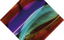 Wild Beasts: Smother