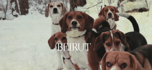 Beirut returns with limited edition 7″