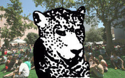 Stream Tiger & Woods’ set from Sonar 2011