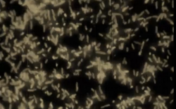 Watch the sinister new video for Old Apparatus’ ‘Realise’