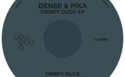 Premiere: stream the strung-out ‘Coil’, from Dense & Pika’s forthcoming Hotflush EP