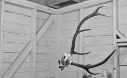 Check out a new slab of torn-out funk from Loops Haunt’s Zenith EP