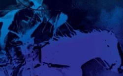 Instrumental Tourist