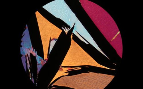 18 record labels to watch in 2013