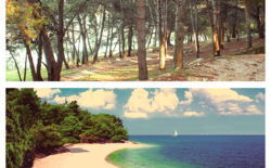 Croatia’s Echo Festival to return in 2013