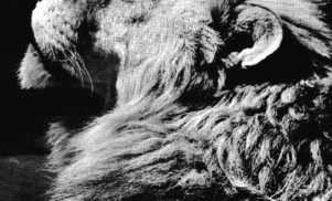 Stream Anthony Naples’ El Portal EP for The Trilogy Tapes