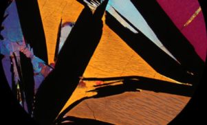 Preview five new releases from Opal Tapes