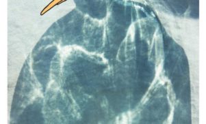 Premiere: John Roberts switches up Vondelpark’s ‘Always Forever’