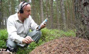 From the Archives: The History of Touch