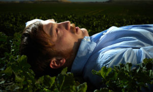 Listen to the title track from The Field’s Cupid’s Head