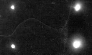 Hear The Seaman & The Tattered Sail’s gorgeous Light Folds and win a swag bag of prizes