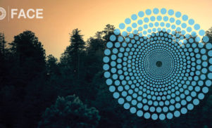 Birmingham’s FACE reveal Autumn/Winter schedule featuring Davide Squillace, Deetron and more