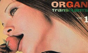 Monsters of Cock? The Beach Boys at 1RPM? In search of the world’s weirdest “conceptual vinyl” records