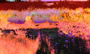 Watch the video for Dinos Chapman’s ‘Luv2h8’