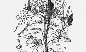 At Disconnected Moments