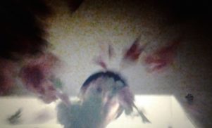 Tri Angle producer Fis announces European tour