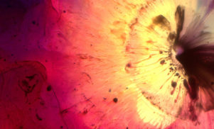 Science and music combine on the video for Tim Green’s ‘Helpless Sun’