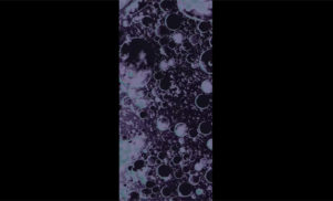 See how food reacts to sound in this new video from Downliners Sekt