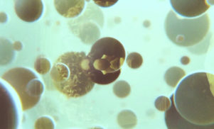 Tee Vish & Jenna G – ‘Don’t Hold Back’ (Official Video)