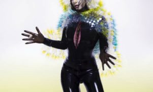 Bjork: Vulnicura