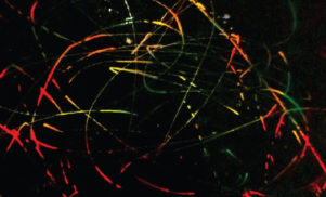 Steve Spacek continues to look left where others look right on the loved-up Modern Streets