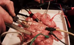 Watch Gnod’s surreal horror video for ‘Breaking The Hex’