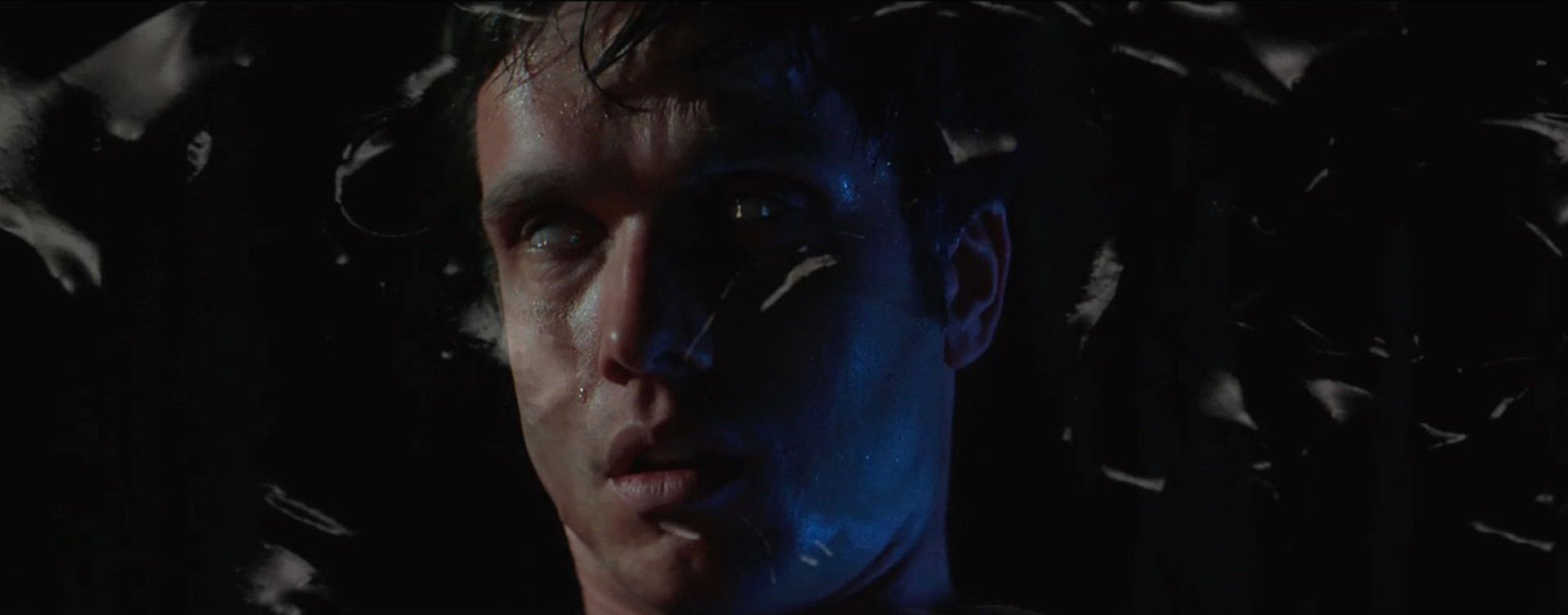 Watch Powell's Scanners-meets-A Clockwork Orange video for 'Sylvester Stallone'