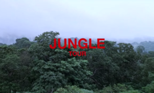Watch the best fan footage from Drake’s Jungle Tour