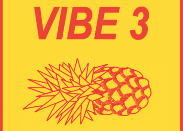 Future Times ready Vibe 3 compilation featuring Juju & Jordash, Shanti Celeste and more