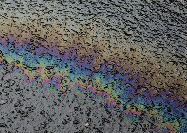 Hear two tracks from Laurel Halo's forthcoming double EP, In Situ