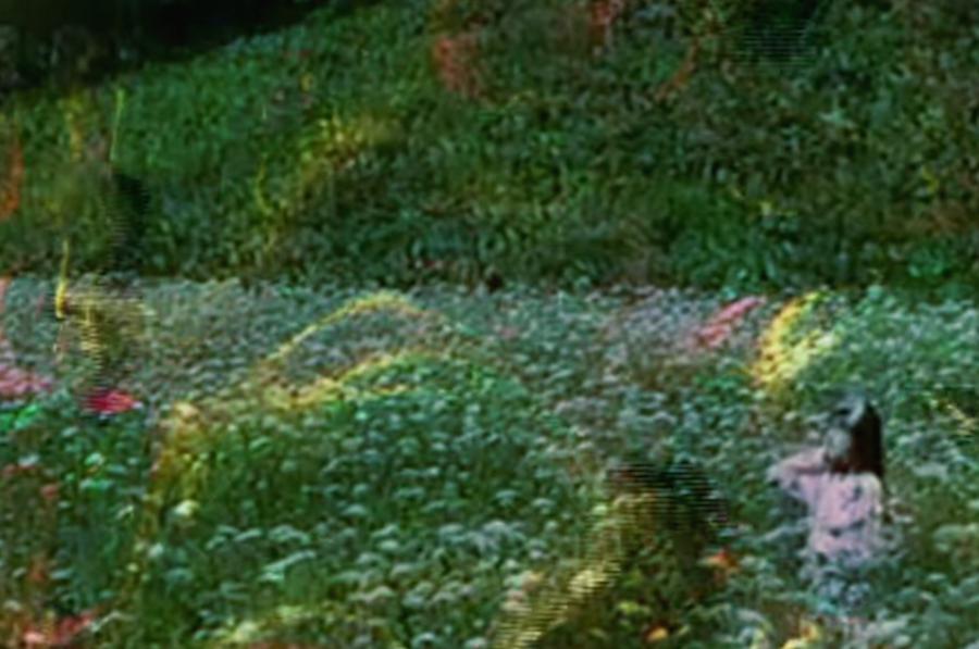 Nmesh and t e l e p a t h テレパシー能力者 travel The Path To Lost Eden on split album