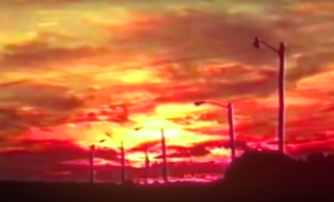 Dolphins and fireworks abound in Rustie’s hyperkinetic ‘First Mythz’ video