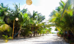 Comunite launches in Mexico with Moodymann, Andrés and more