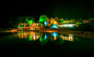 Electric Elephant announces first names for 2016