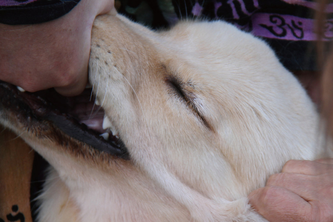 Jim O'Rourke and Fennesz team up on It’s Hard For Me To Say I'm Sorry