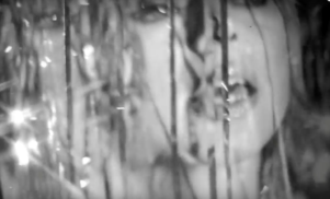 Chromatics glisten in the ‘I Can Never Be Myself When You’re Around’ video