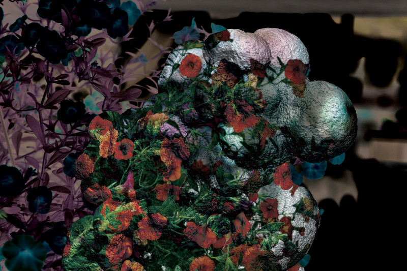 Blondes join R&S with new album, Warmth