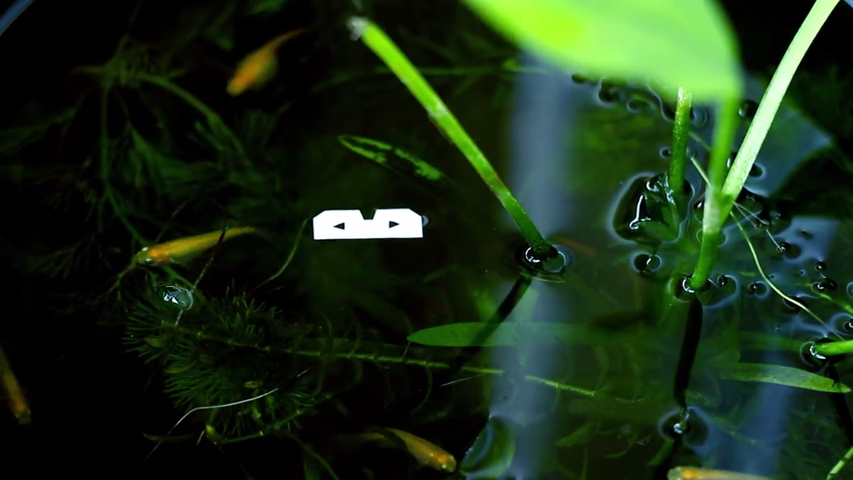 NHK yx Koyxen to release Exit Entrance album on DFA Records